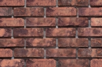 BONT ZWART